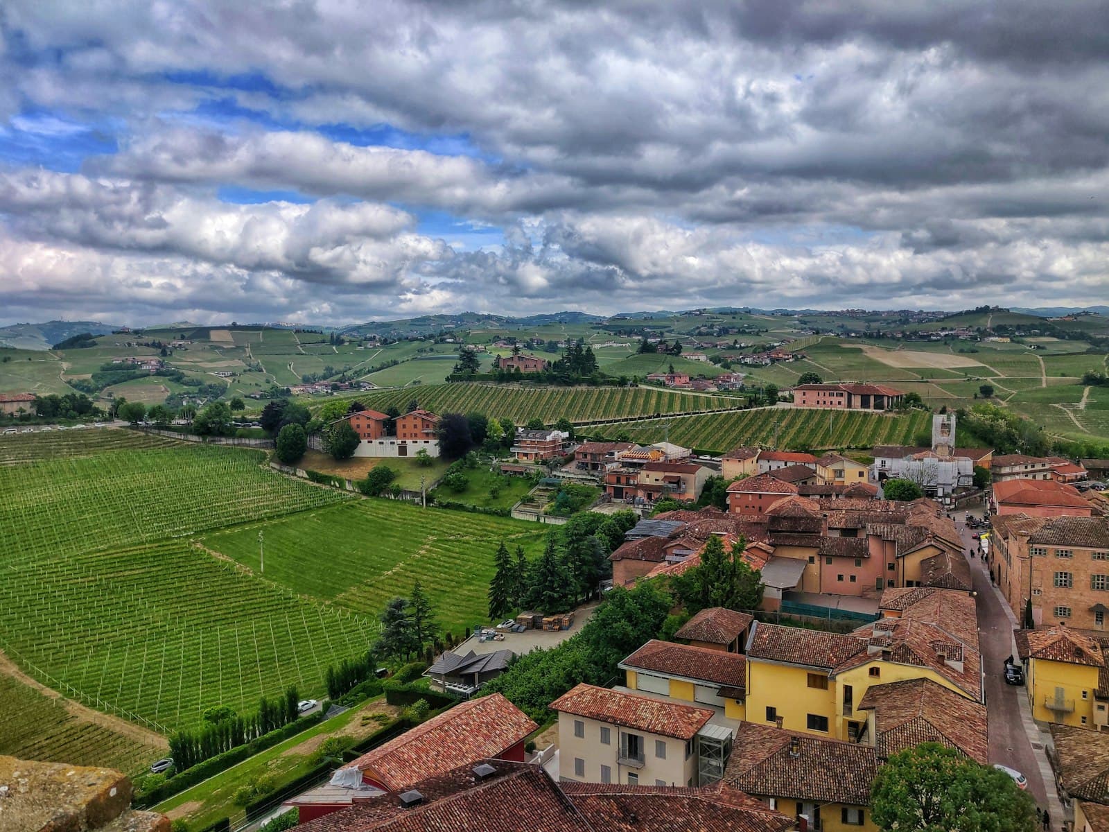 A Barbaresco village and its bell tower ringed by vineyards