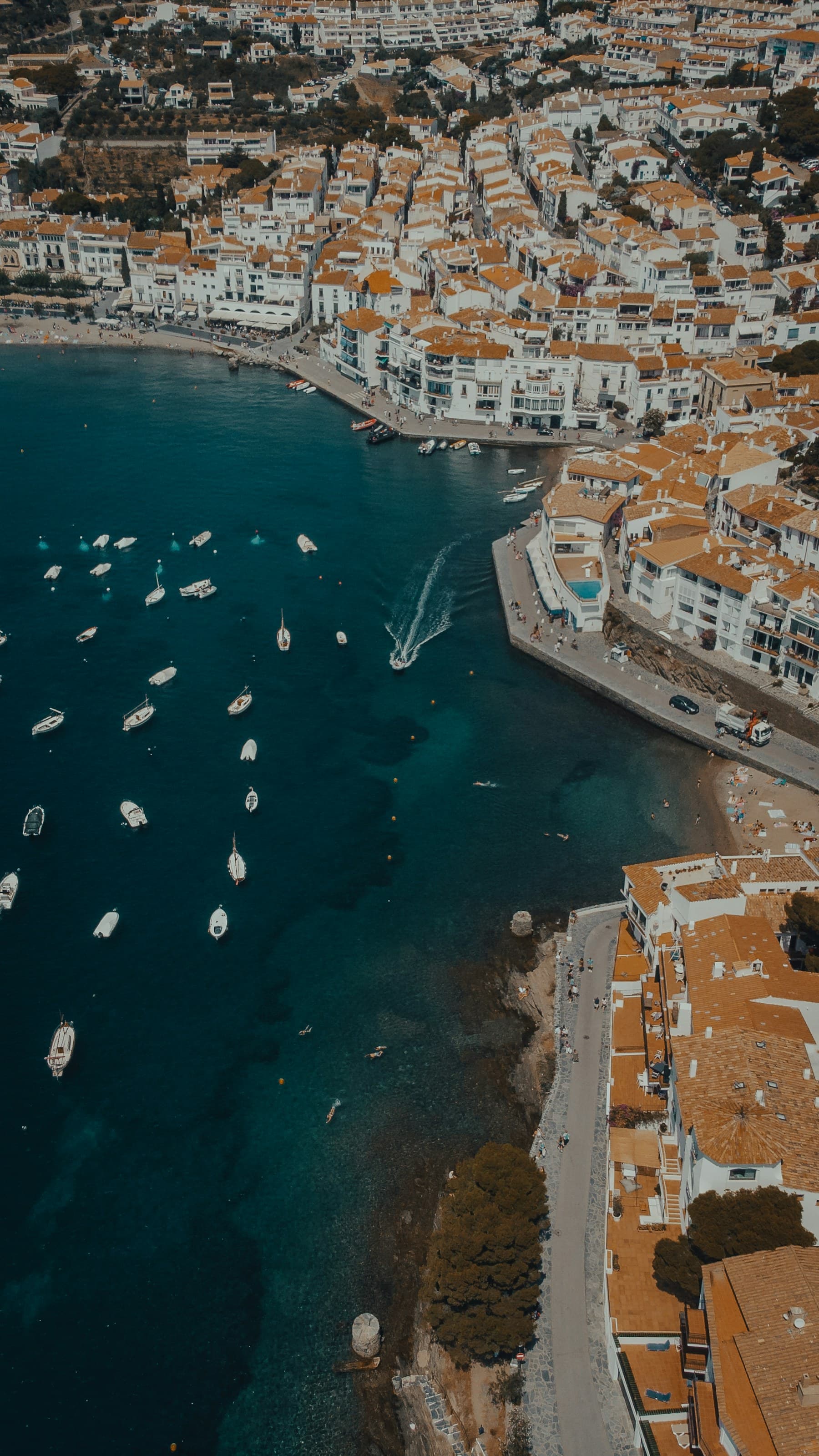 Cadaqués from above: white houses around a bay of fishing boats