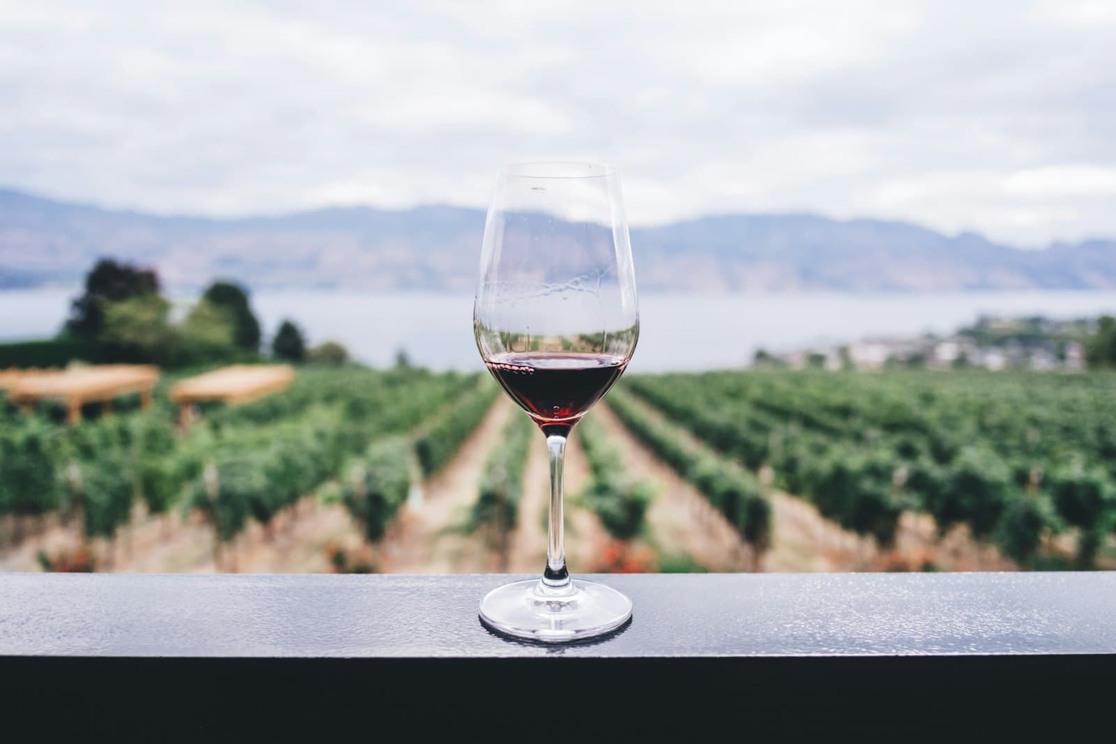 Glass of red wine on a terrace ledge overlooking vineyard rows