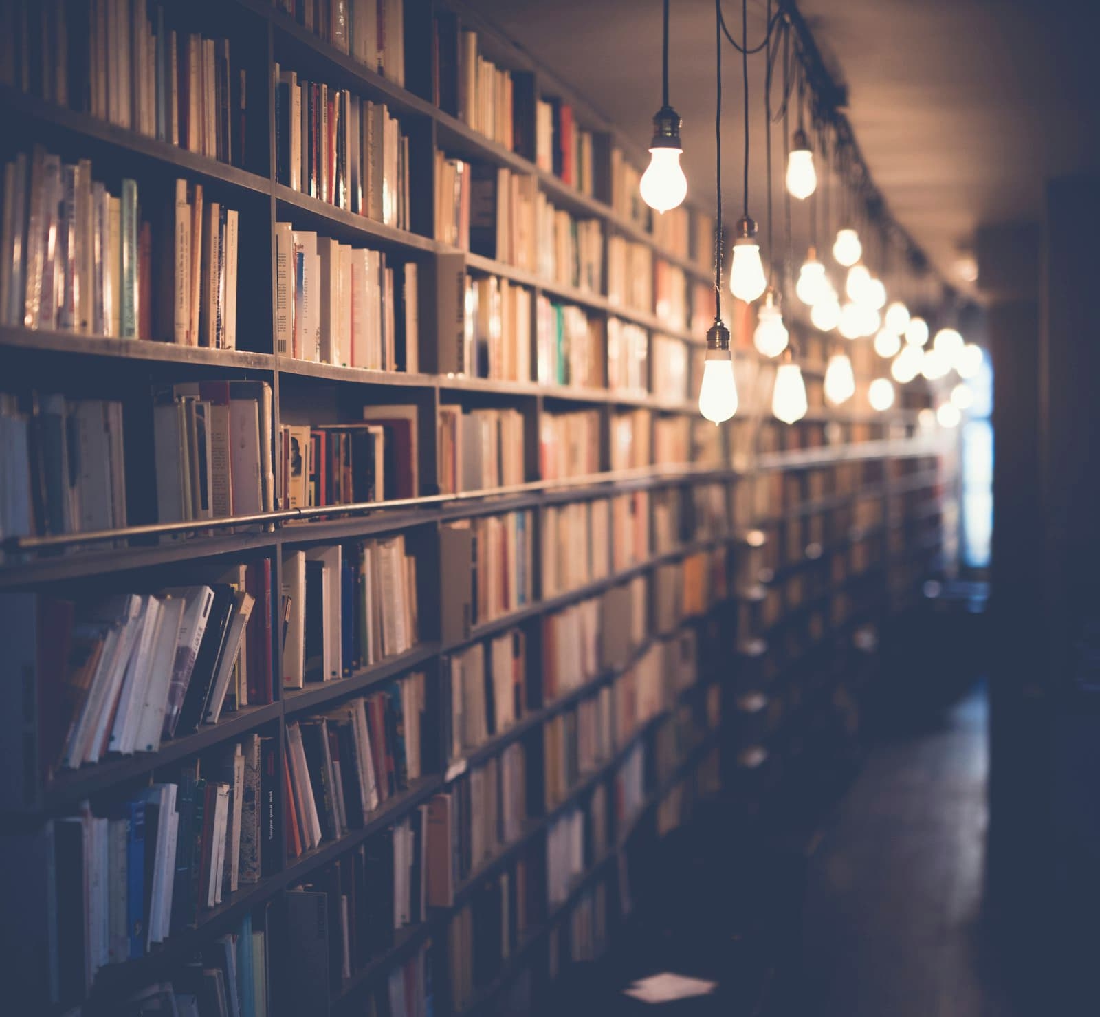 Bookshop aisle lit by a string of warm hanging bulbs